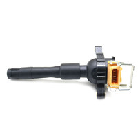 Bobine d'allumage pour BMW E36 E46 E39 E38 E53 323i 325i 0221504004 0221504029 12 13 7 599 219 12131703825 12137599219 UF354 C1640