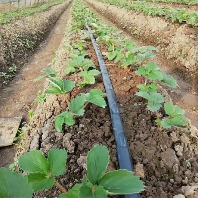 Haute qualité 16mm polyéthylène tube bandes goutte à goutte système d'irrigation agricole bande d'irrigation goutte à goutte
