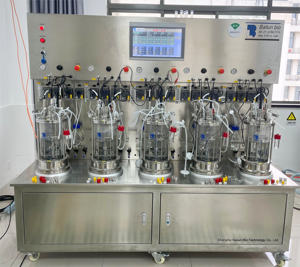 Bioréacteur à biofilm agité contrôlé par PLC Bailun, échelle de laboratoire, capacité de 3 L, pompe de fermentation automatique, moteur à roulement - Product Image 6