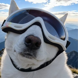 Gafas de sol para perros Border <span class=keywords><strong>Collie</strong></span>/Golden Retriever/Corgi/French Bulldog/Maine Coon, resistentes al viento, resistentes a impactos, correas dobles, completas - Product Image 3