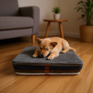 Tappetino per Animali Domestici in Spugna Peluche Grigio Scuro 5cm, Dimensioni 80*120*5cm per Materassini e Tappetini per Animali - Product Image 3