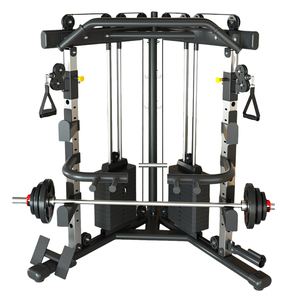 Máquina de entrenamiento integral para pájaros pequeños, máquina de poleas cruzadas, entrenador funcional, soporte para sentadillas, todo <span class=keywords><strong>en</strong></span> uno, <span class=keywords><strong>polea</strong></span> doble ajustable - Product Image 1