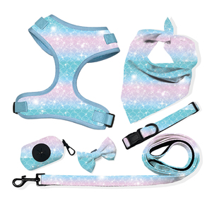 Conjunto de arnés de neopreno Reversible para perro, conjunto de arnés para perro con correa a juego, Collar, bolsa para caca, personalizado, venta al por mayor - Product Image 3