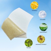 Parches de Hidrogel 2 en 1 con Ácido Hialurónico y Aloe Vera de Marca Privada OEM, para Frente y Patillas, Hidratación Profunda, Calmante y Relajante