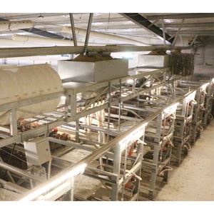 Nuevo Sistema de Cría de Pollos de Engorde Tipo H Totalmente Automático, Construcción de Acero Galvanizado por Inmersión en Caliente, 3/4 Niveles de Ancho - Product Image 3