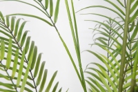 180cm Pygmäen Datum Palm Faux Palm Baum Künstliche Pflanzen Bäume Indoor Dekoration