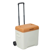 Glacière portable en acier inoxydable grande capacité à zone unique, réfrigérateur-congélateur pour camping, véhicules, pêche, vin et canettes