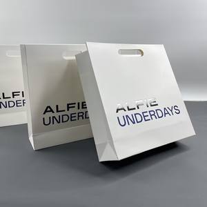 Bolsas de Regalo Ecológicas a Precio de Fábrica, Bolsas de Papel de Lujo con Asas Troqueladas y Estampado en Relieve Personalizado con Logotipo Impreso - Product Image 2