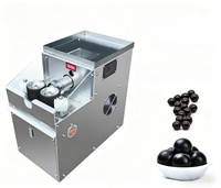 Machine à fabriquer des boulettes de riz et des boules de taro, granulateur de pilules d'eau et de miel, extrudeuse de snacks, granulateur de poudre entièrement automatique