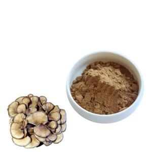 Extrait de champignons Maitake et Polyporus en poudre, 30% de bêta-glucane, qualité alimentaire, extraction liquide-solide - Product Image 5