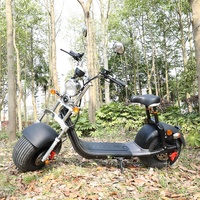 Scooter électrique adulte Citycoco EEC COC 1500W à moteur sans balais, batterie 60V 12/20Ah, étanche, grande assise, prix abordable, vente chaude