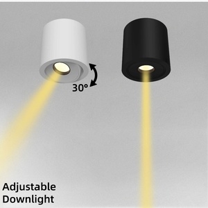 Foco LED Ecolux de 7W y 10W, moderno, ajustable, haz estrecho, cuerpo de aluminio, montado en superficie, interior, COB, luz descendente, alto CRI 95 IP20 - Product Image 3