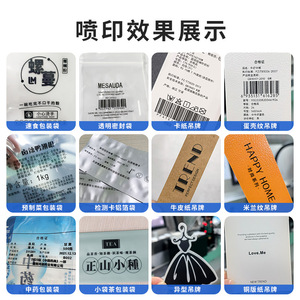 เครื่องพิมพ์อิงค์เจ็ทแบบฝังไมโคร S5000 เครื่องพิมพ์รหัสอัตโนมัติเต็มรูปแบบสำหรับบรรจุภัณฑ์ ถุง กล่อง ฟอยล์อะลูมิเนียม พิมพ์ด้วยรังสียูวี - Product Image 4