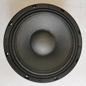 2020 nouveau haut-parleur Corneta Audio <span class=keywords><strong>10</strong></span> pouces haut-parleur Ferrite Woofer Pro avec système de musique VC 2.57 pouces pour le remplacement B-n-C - Product Image 4