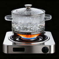 Casserole en verre borosilicate transparent, pot à soupe, pot à ragoût, ustensiles de cuisine résistants à la chaleur avec couvercle en verre pour cuisinière à induction