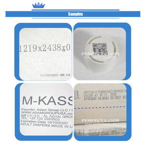 เครื่องพิมพ์อิงค์เจ็ท Qr TIJ สำหรับการผลิตจำนวนมากเลเซอร์สมบูรณ์แบบ-ความละเอียดสูง600*600 DPI ข้อมูลตัวแปรออนไลน์ - Product Image 5