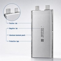 Services mondiaux d'intégration et de développement de batteries au lithium semi-solides OEM 17Ah 32Ah 300Wh/kg pour le stockage d'énergie