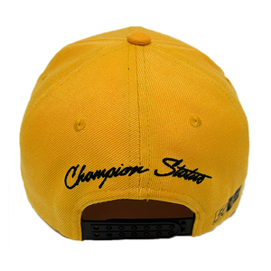 Wholesale 100% Cotton Plain Sports Snapback Cap Custom Embroidered Logo Two Tone <strong>Hip</strong> <strong>Hop</strong> Flat Brim Hats - Product Image 3