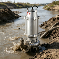 Pompe submersible antidéflagrante certifiée EX pour eaux usées, en acier inoxydable 304, haute température, drainage industriel minier, 380V haute tension