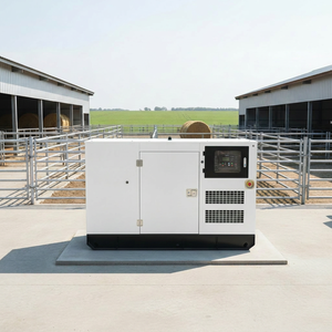 Generador Diésel Silencioso Trifásico de Alta Potencia de 30KW, 40KVA, Arranque Automático, ATS, Resistente a la Lluvia, para Uso Doméstico o <span class=keywords><strong>en</strong></span> Campamentos - Product Image 4
