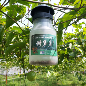 Mướp bay (bactrocera cucurbitae) PE chai Pheromone thu hút sinh thái thân thiện không độc hại rắn trái cây Fly bẫy nhựa côn trùng Catcher - Product Image 2