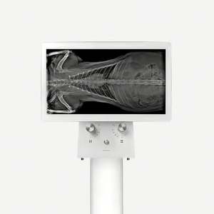Fluoroscopie dynamique DR équipement vétérinaire X Ray Fluoroscopie dynamique 20kw 400mA pour clinique pour animaux de compagnie - Product Image 5