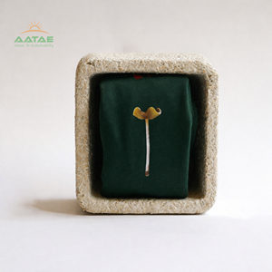 Maßgefertigte Luxus-Beauty-Myzelium-Schalen im Wabi-Sabi-Stil mit rauer Oberfläche, biobasiert, negativer CO2-Aufnahme, feuerfest, 16-Tage-Lieferzeit - Product Image 1