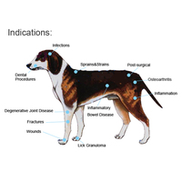 650nm 808nm LLLT thérapie par faible luminosité chien vétérinaire soulagement de la douleur thérapie laser portable portable
