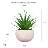 Plants Assorted Small Artificial Plants Mini Plastic Succulent Potted Plants Bonsai Picks With Pulp Pots
