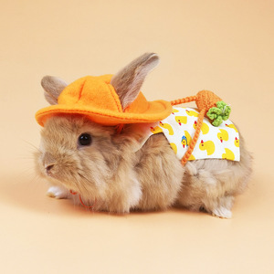 Set Pettorina, Guinzaglio, Vestiti e Cappello <span class=keywords><strong>per</strong></span> Coniglio, Porcellino d'India, Coniglio Nano, Piccoli Animali Domestici <span class=keywords><strong>per</strong></span> Passeggiate all'Aperto - Product Image 4