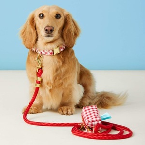 Guinzaglio per Cani Personalizzato con Logo, Set Premium di Lusso con Corda Morbida e Sacchetto per Escrementi - Product Image 3