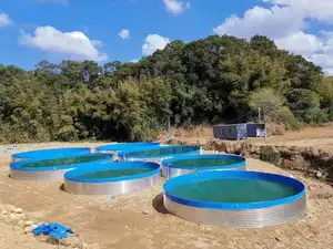 SDM Foldable Pvc Tarpaulin Farmed Ponds Farming Tank Economic Fish Farming Tank