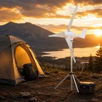 Kit éolien micro 300W à succès avec contrôleur et tour de 6m pour distributeurs