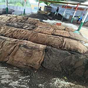 Compost de Vermicompostaje de Alta Calidad a Precio de Venta, Fertilizante Orgánico Indio de 1 Kg - Calidad de Exportación - Product Image 4