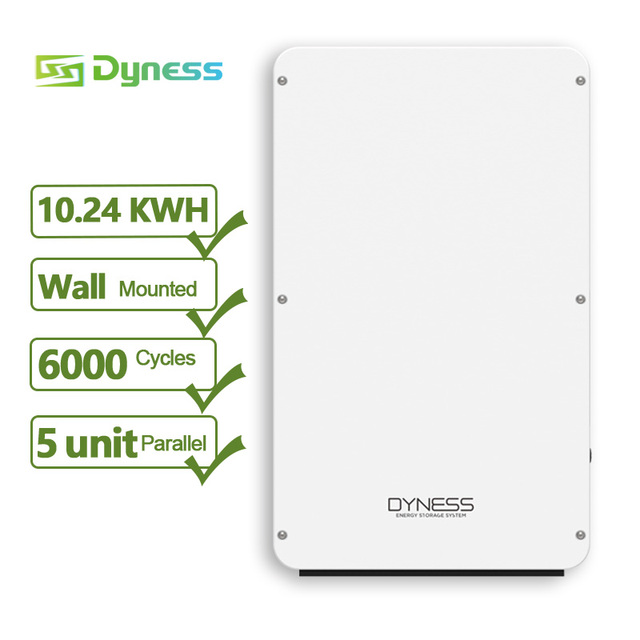 Dyness Powerbox Lithium Battery Lifepo4 Battery Pro 48v 51.2 Volt 200ah Tesla Pv Powerwall 10kwh IP65 0.5C Fast Charging CN;SHA