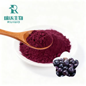 ビルベリーフルーツエキスアントシアニジンビルベリーエキスバルク - Product Image 4