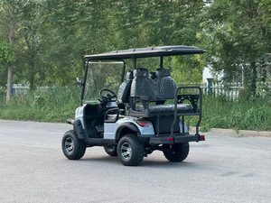 豪华四轮高尔夫车公园观光车（可定制颜色） - Product Image 3