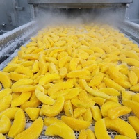 Graad A Halal IQF Diepvries Gele Perzik Schijfjes Groothandel |   100% natuurlijke, vers gesneden perziken voor bakkerijjam & -sap
