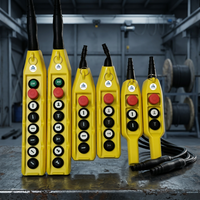 Stazione di Comando Pendente Industriale Elettronica CMK Serie PL10/SPLPLN per Gru, con Pulsanti, Grado di Protezione IP65, Corpo in Plastica, Interblocco Meccanico