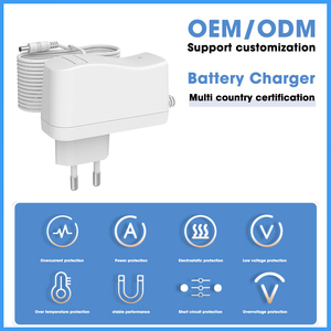 <span class=keywords><strong>Chargeur</strong></span> de batterie <span class=keywords><strong>Phylion</strong></span> personnalisable 1,5A-5A pour scooters 12,6V-42V Lifepo4 14,4V-29,2V Lithium Lion <span class=keywords><strong>Phylion</strong></span> - Product Image 5