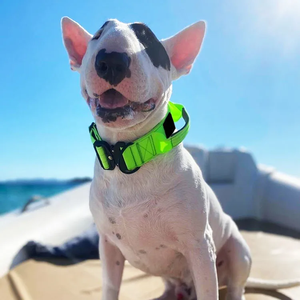 Venta al por mayor <span class=keywords><strong>Collar</strong></span> de perro mascota con asa <span class=keywords><strong>Collar</strong></span> de pastor alemán acolchado suave para perros medianos y grandes <span class=keywords><strong>Collar</strong></span> de perro táctico resistente - Product Image 4