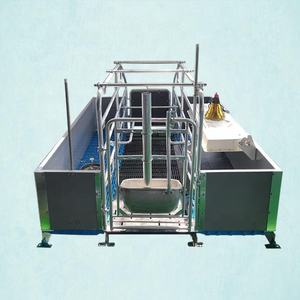 Nuevo Equipo de Cría de Cerdos Anticorrosivo y Confiable, Jaulas de Parto para Cerdos de Acero Galvanizado en Caliente, Sistema de Alimentación Totalmente Automático - Product Image 3