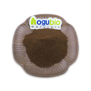 OEM Private Label caffè Instant funghi miscela polvere miscela di caffè OEM leoni istantanei funghi in polvere di caffè - Product Image 2