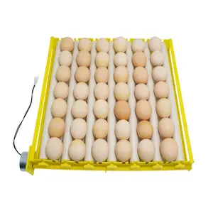 110v o 220v o DC 12v 42 uova rullo vassoio di uovo con motore di pollo quaglia incubatrice automatica uovo vassoio