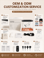 Diffuseur d'arômes électrique en gros, pierre de sel de l'Himalaya, flamme 3D, lumière colorée, humidificateur ultrasonique, cheminée de salon