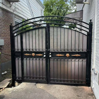 Porte en fer de surface finie antique pour paysage de villa classique