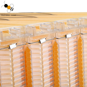 7 Pezzi di Telai per Miele Automatici Flowing <span class=keywords><strong>Hive</strong></span> con 1 Chiave e 7 Tubi in Plastica - Product Image 3