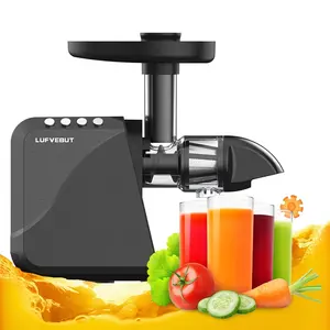Wholesale Manufacturer Hot selling Electric Multifunctional Portable Slow Juicer Extractor