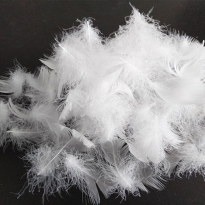 <span class=keywords><strong>Plumes</strong></span> de canard <span class=keywords><strong>blanches</strong></span> lavées naturelles de Chine, 2,4 cm – Matière première pour rembourrage en gros - Product Image 4