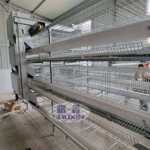Cage automatique pour poules pondeuses de grande capacité 10000 poulets poules pondeuses alimentation automatique Cages pour volaille en batterie à <span class=keywords><strong>vendre</strong></span> - Product Image 4